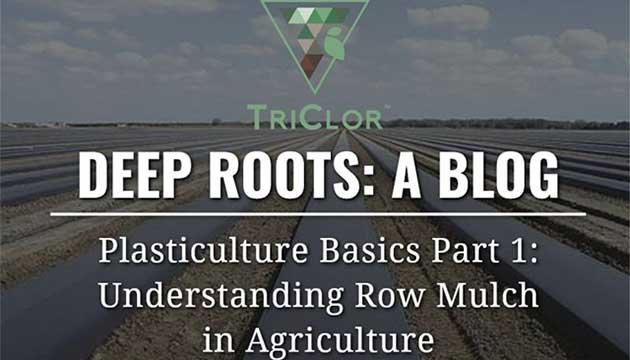 Plasticulture Basics Part 1: Understanding Row Mulch in Agriculture