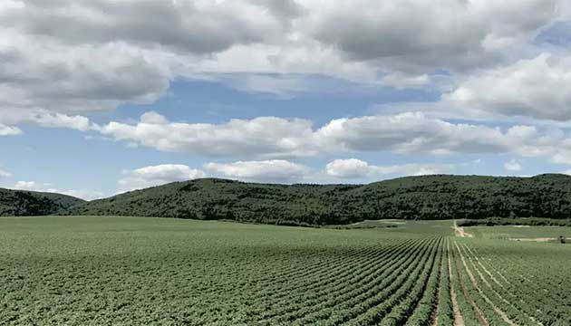 The Real Reason Fields Get “Tired” … and What to Do About It