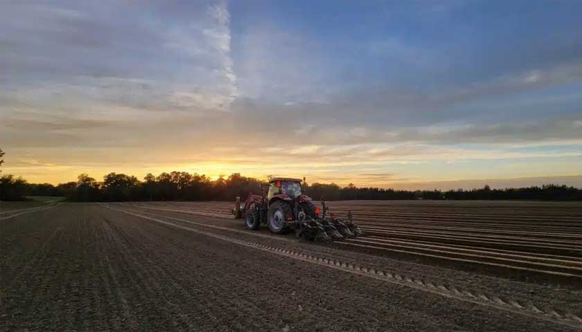 Does Soil Fumigation Have a Place in Regenerative Agriculture?