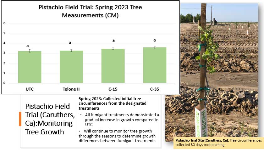 Pistachio Field Trials: Decreased Nematode Densities