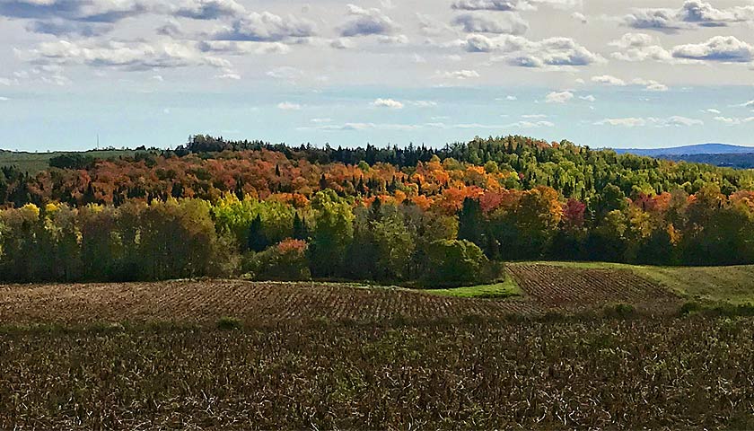 A Crisp Autumn Morning