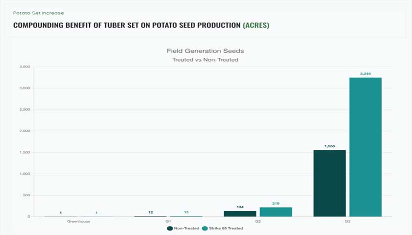 Soil Fumigation Changes the Game for Potato Seed Farm Economics