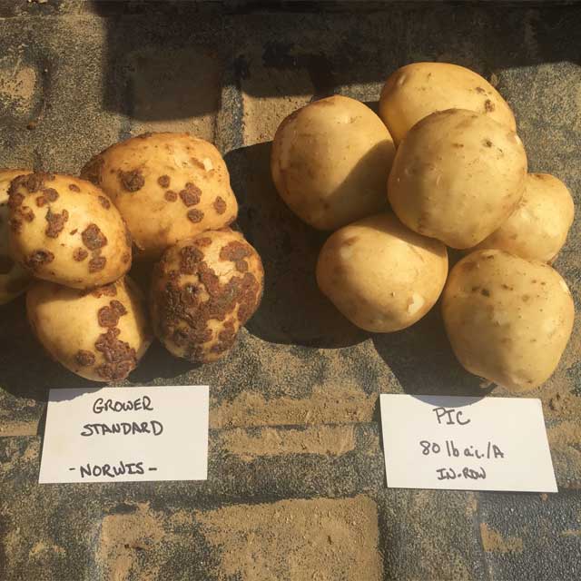 CROP: Potato - Strike Fumigants