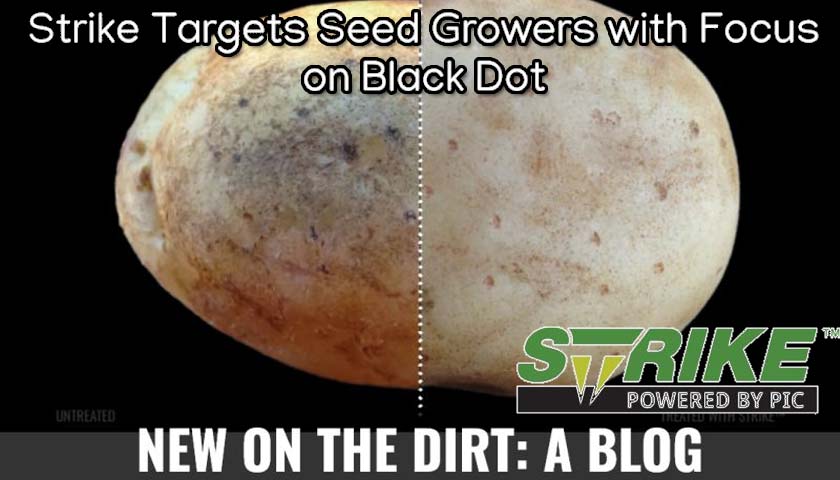 Strike Targets Seed Growers with Focus on Black Dot