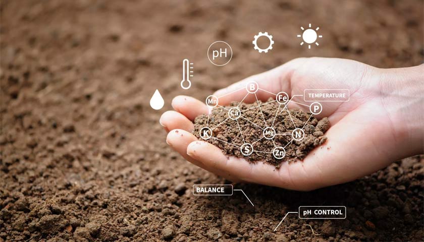 Soil Health: An Overview For Growers