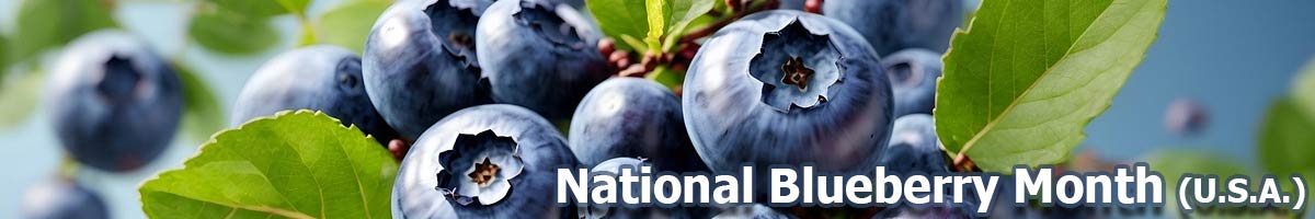 National Blueberry Month (U.S.A.)