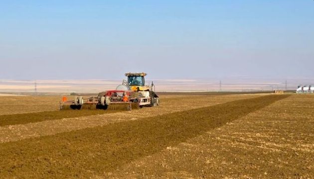 Soil Fumigated for Onions Using Strike&trade;