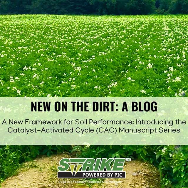 New on The Dirt: A Blog