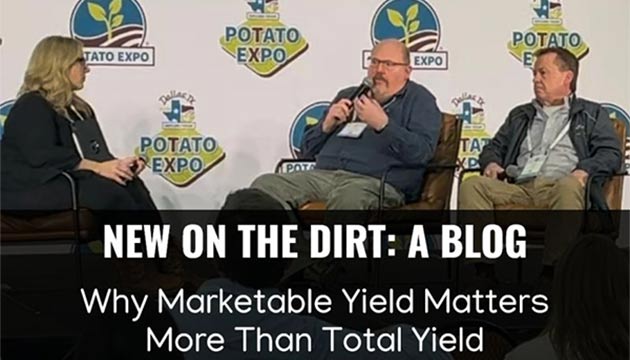 Why Marketable Yield Matters More Than Total Yield