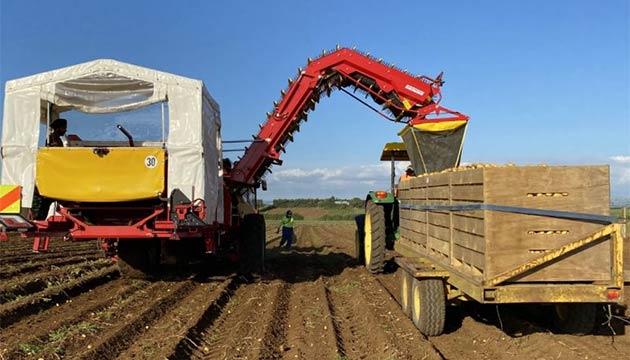 Potatoe Harvest | New Zealand