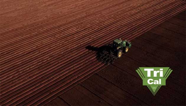 Soil Fumigation | Chile & South America