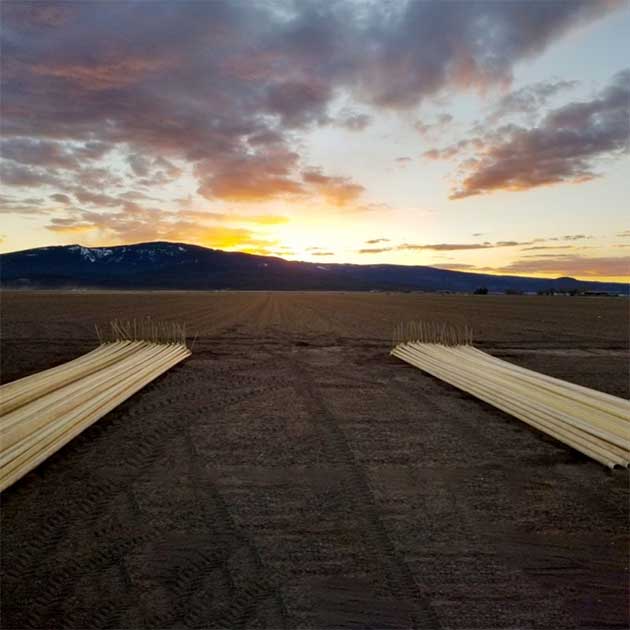 Irrigation | California