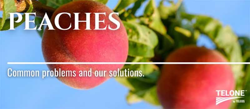 Peach Growers Trust Telone&trade; by Teleos