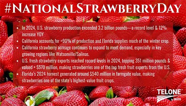 National Strawberry Day