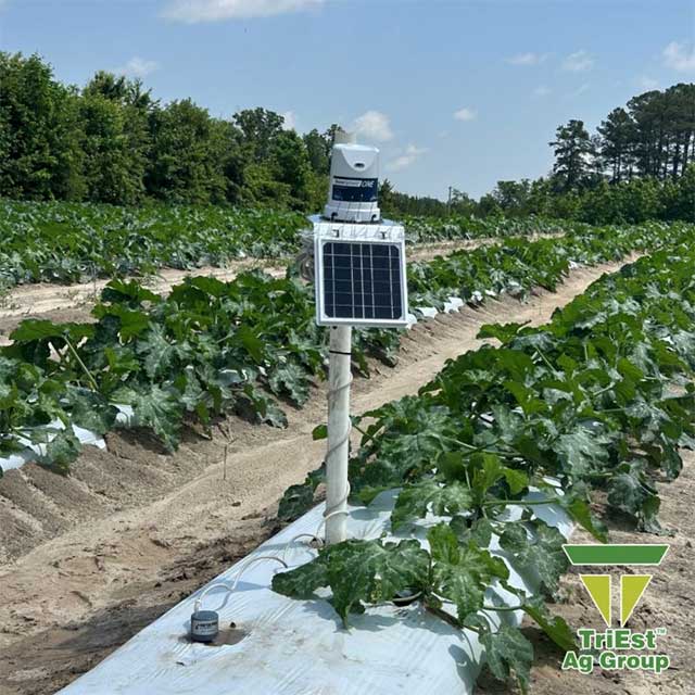 Netafim GrowSphere™ ONE