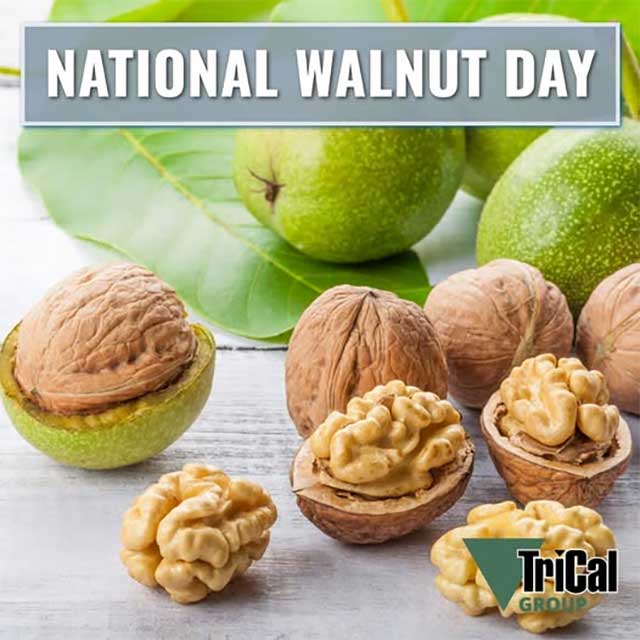 National Walnut Day