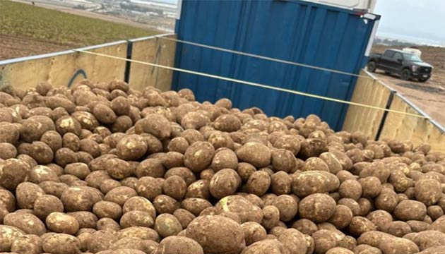 Potatoes | Chile