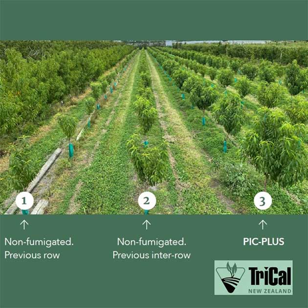 Stone Fruit Trial Results Released