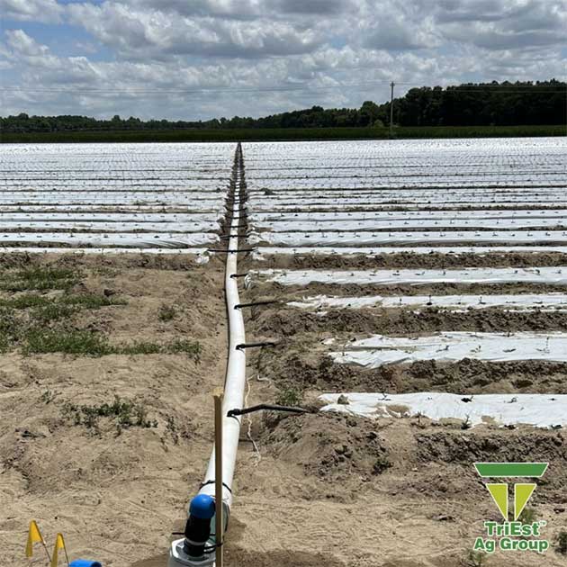 Smart Irrigation Management | TriEst Ag Group