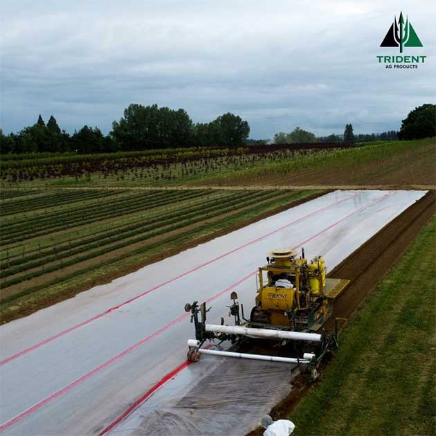 Ornamentals | Pacific Northwest