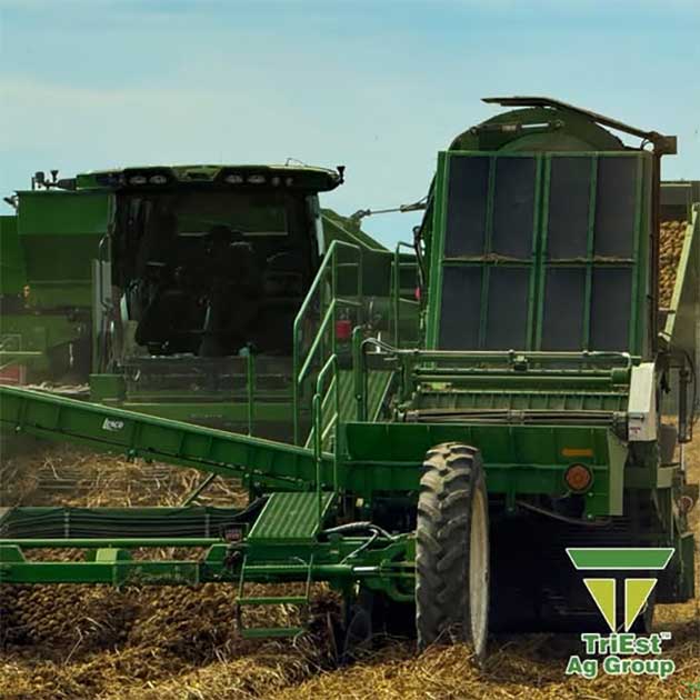 SweetPotatoes | Strip-Till Soil Fumigation