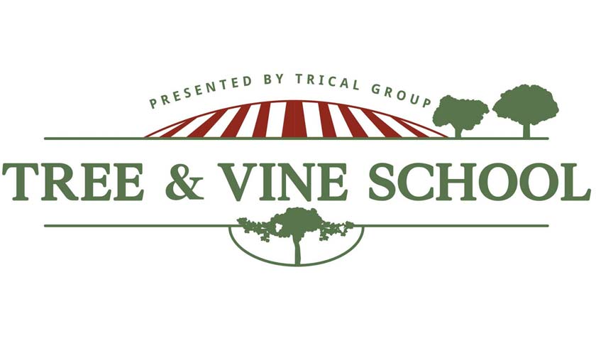 Tree & Vine School Re-Cap