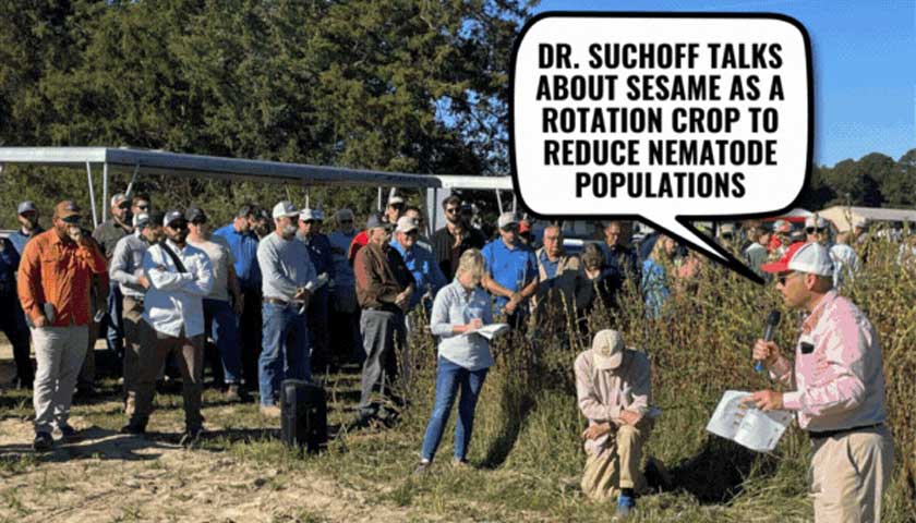 North Carolina Sweetpotato Commission's Annual Field Day