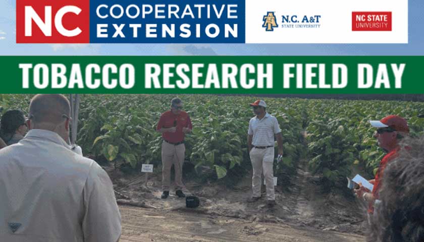 Tobacco Research Field Day