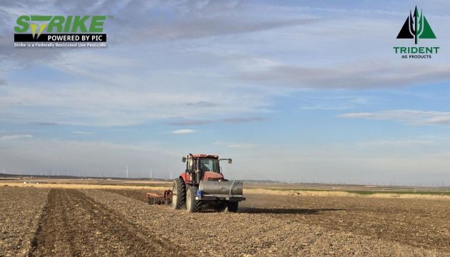 Another Potato Trial in the Books