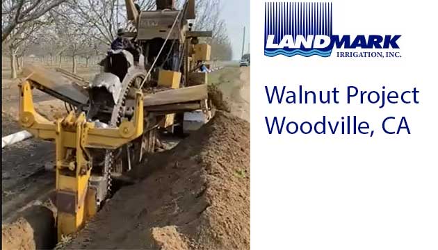 Walnut Project | Woodville, CA