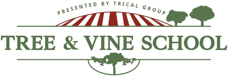 Tree & Vine School Re-Cap