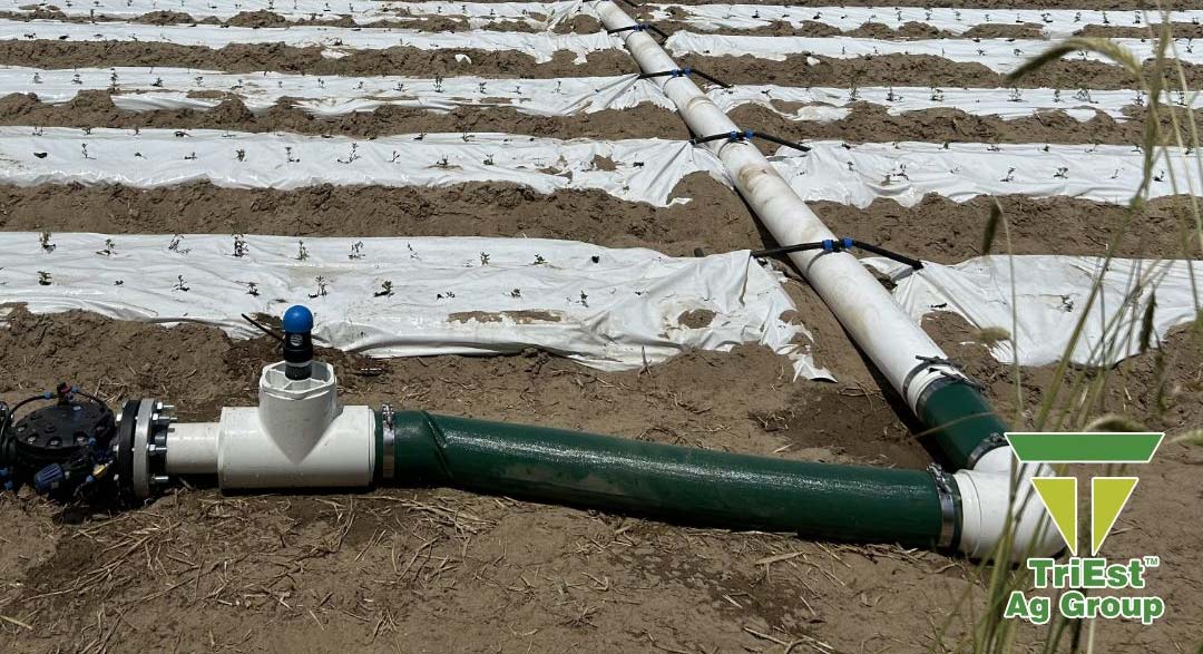 Newly Automated Irrigation System in North Carolina