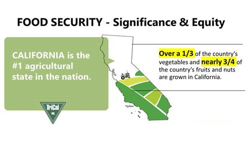 Enjoy California’s Bounty: Grown with Pride