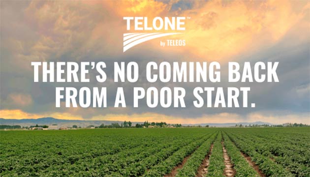 Don’t Let Nematodes Ruin Your Season Before it Starts!