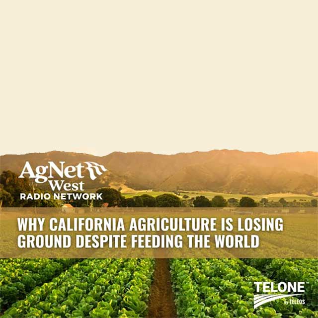 Why California Agriculture is Losing Ground