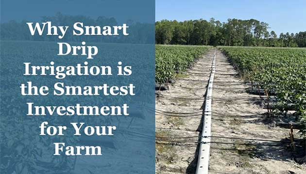 Why Smart Drip Irrigation is the Smartest Investment for Your Farm