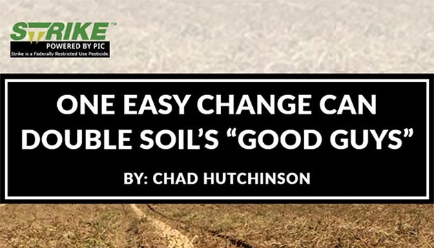 One Easy Change Can Double Soil's Good Guys
