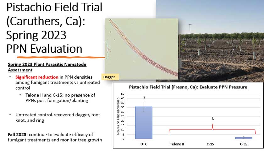 Pistachio Field Trials: Decreased Nematode Densities