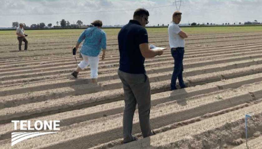 Poland Potato Trials