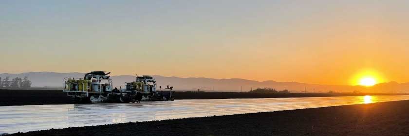 Strawberry Fall Fumigation Underway
