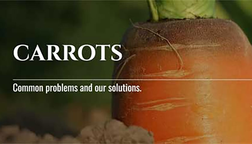 Teleos Ag's New Carrot-Specific Crop Page