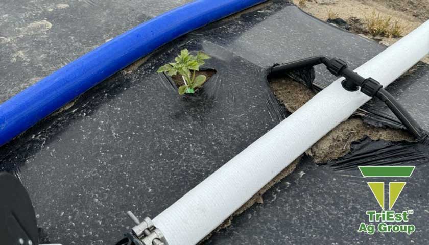 FlexNet<sup>®</sup> Portable Submain Solution