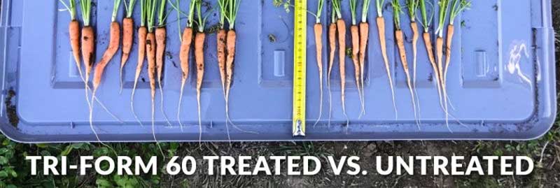 Let the Carrots Speak for Themselves