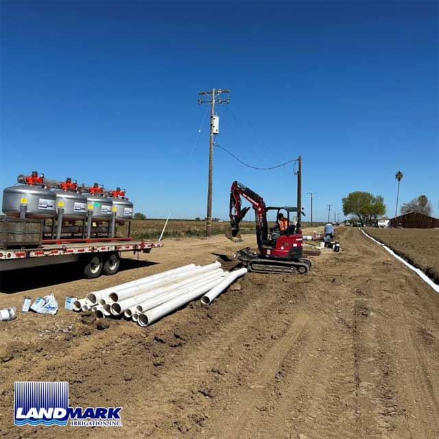 Are you prepared to enhance your tomato yields?