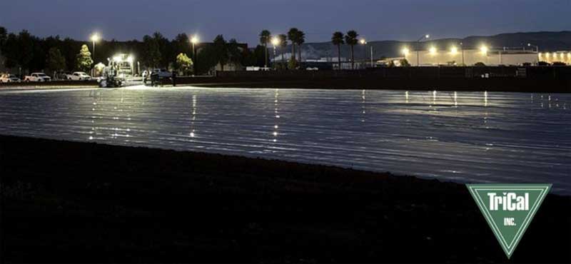 Strawberry Field Undergoing Soil Fumigation