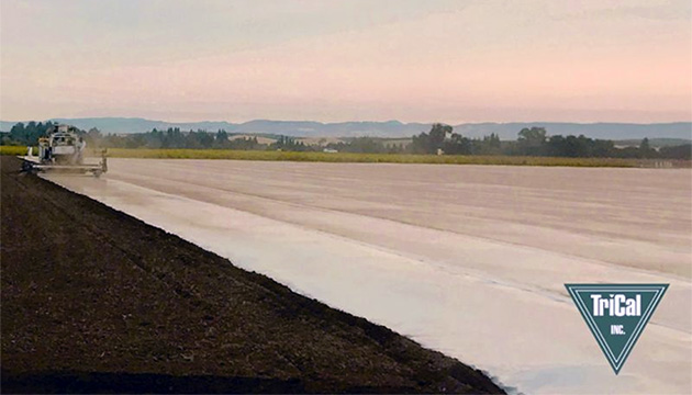 Trical Works Alongside Growers to Improve Soil Conditions