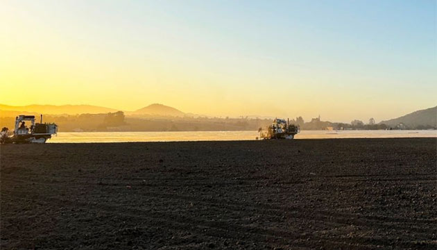 Precision Soil Fumigation for Long-Term Orchard Health