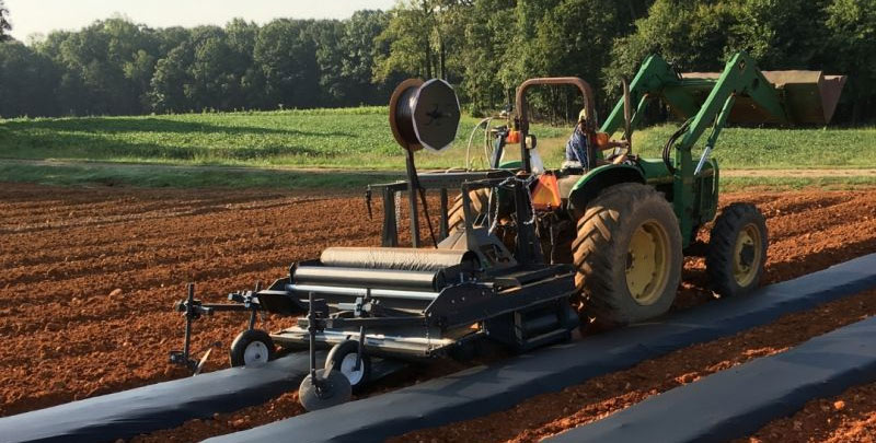 Soil Health is the Foundation of High-Quality Strawberry Crop