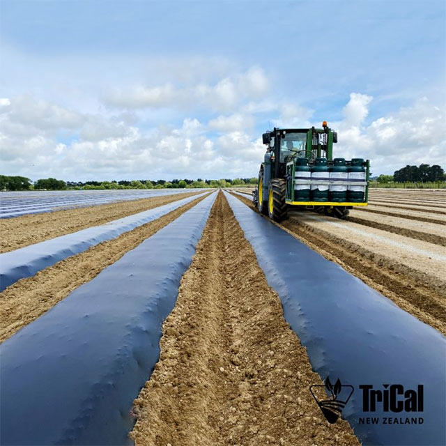 Soil Fumigation in Nelson Zone, South Island