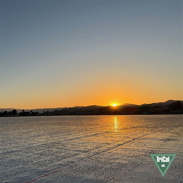 A Strong Start Begins Early